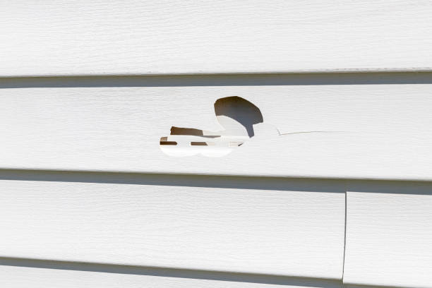 Best Fascia and Soffit Installation  in Parowan, UT